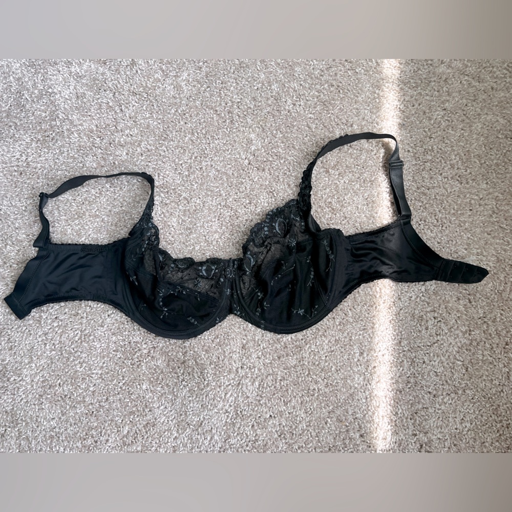 Gorgeous black bra with detailed embroidery. Never worn and was wrong size.